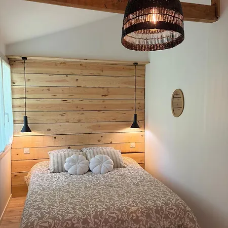 Cosy 1km From Gujan-Mestras