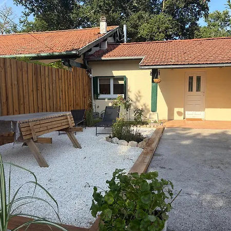 Cosy 1km From