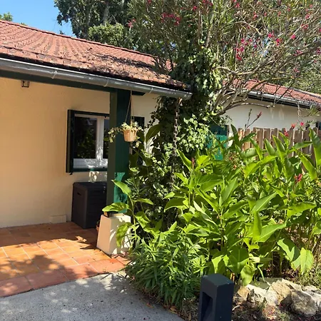 Cosy 1km From בית נופש *