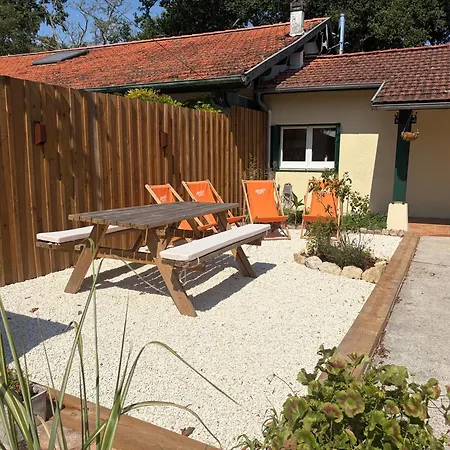בית נופש Cosy 1km From *